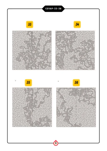 Gençler ve Yetişkinler İçin Labirent Bulmaca Kitabı (100 Labirent Cevaplarıyla) - 5