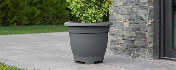 Omnipazar SO-VHS8 Dekoratif Vaha Saksı İç ve Dış Mekan 54 Litre No 8 - Resim 7