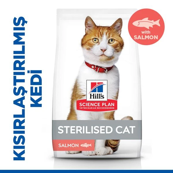 Hills Somonlu Kısırlaştırılmış Kedi Maması 8+2Kg Bonus Paket - 2