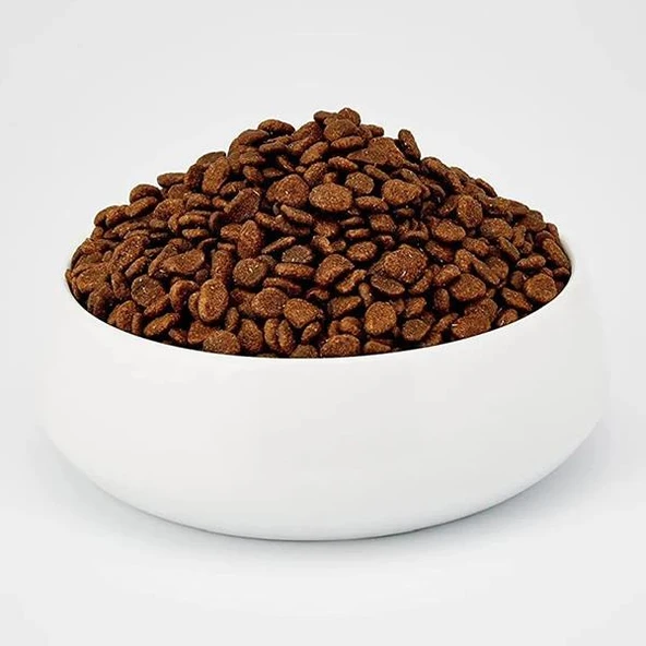 Acana Pacifica Balıklı Tahılsız Kedi Maması 1,8Kg - 4