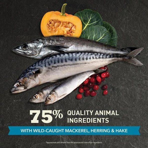 Acana Pacifica Balıklı Tahılsız Kedi Maması 1,8Kg - 3