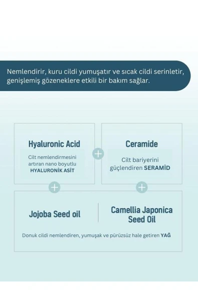 Dermal Seoulface Hyaluronic Hydrogel Melting Mask 34 gr - 3