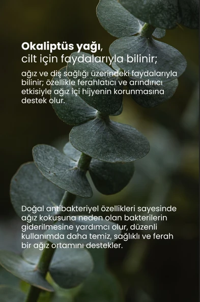 TTO X Hassas Dişler Ve Diş Etleri İçin Beyazlatıcı Diş Macunu - Resim 6