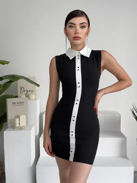 Karina Yaka Detay Elbise - 5