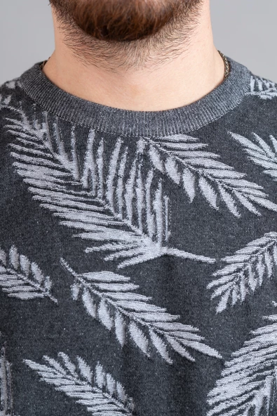 SAN&FA REGULAR FİT DESENLİ ERKEK TRİKO KAZAK - Resim 7