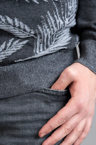 SAN&FA REGULAR FİT DESENLİ ERKEK TRİKO KAZAK - Resim 6