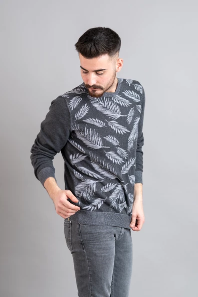 SAN&FA REGULAR FİT DESENLİ ERKEK TRİKO KAZAK - Resim 4