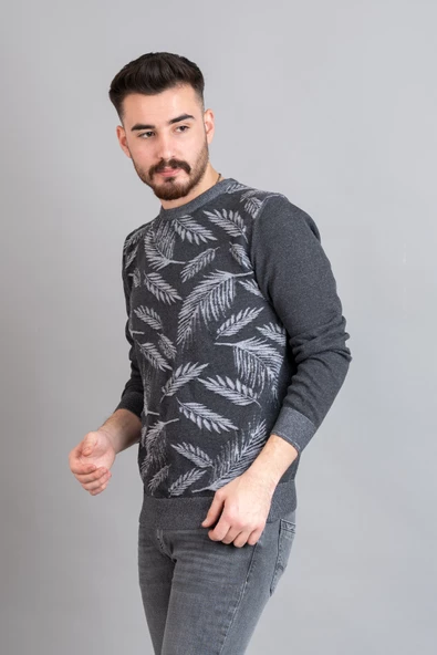 SAN&FA REGULAR FİT DESENLİ ERKEK TRİKO KAZAK - Resim 2