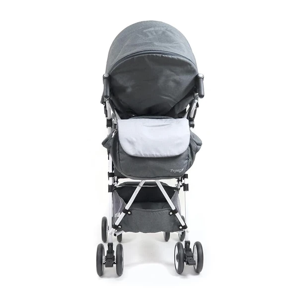 Mywam Pegaz Engelli Çocuk Puseti Full Aksesuarlı - Resim 3