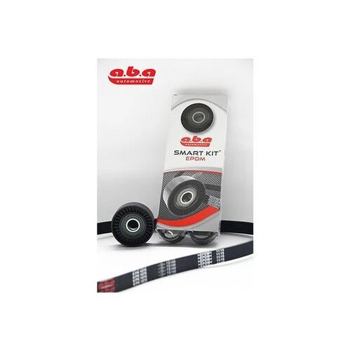 ABA 5PK1750S1 ALTERNATOR GERGİ RULMANI KIT+KAYIŞ 5PK1750-25306203 ürün görseli 1