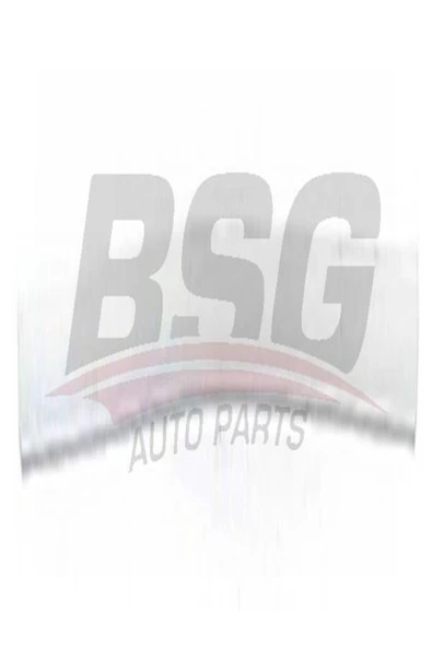 BSG 65 -925-028 Kapi Bandi On Sag 925028 (WK639882) - 1