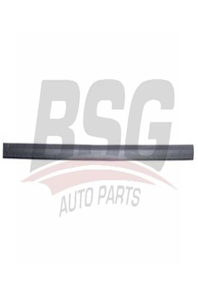 BSG 65 -925-030 Kapi Bandi On Sol 925030 (WN947988) ürün görseli 1