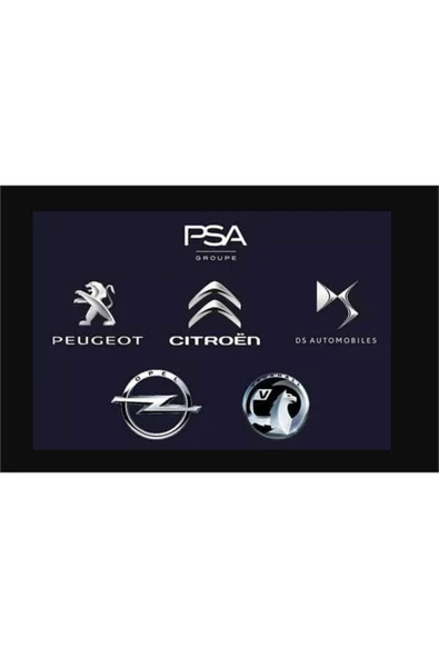 PSA 9825966380 Peugeot  Kapı Alt Lastık