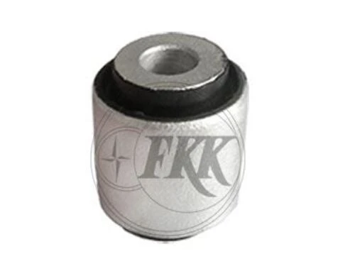 Fkk 80010  Salıncak Burcu Audi - 1