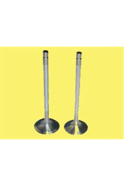 Güneş 0850 -0851  SUBAP TAKIMI C5 2.0 HPI 8V