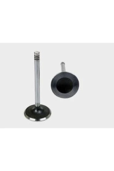 Güneş 6448 -6449 Takım Subap 16v Micra Note 1.0 1.2 1.4 03-10 Cr10de ürün görseli