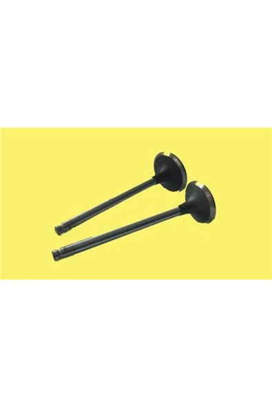 Güneş 4564 -4565  SUBAP TAKIMI J9 2.5 8V YESIL STD 0.50