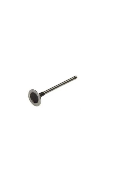 Güneş 6822 -6823  SUBAP FLUENCE 1,6-16V ENG.H4M TK.