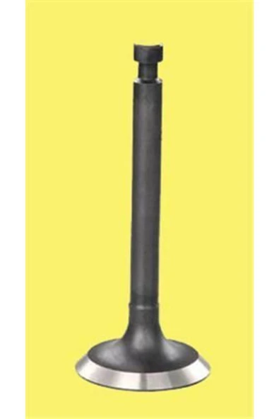 Güneş 4019 -4020 Subap Takımı Astra Corsa Zafira 1.8 16v Eng. E18xe 218xel 16v