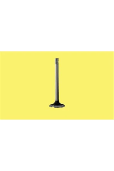 Güneş 4572 -4573 Subap Takımı 107 207 307 / C3 1.4i 16v 16v
