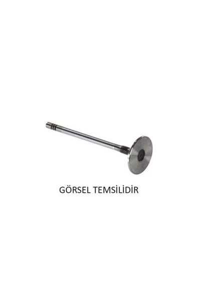 Tetik FIA Fıa-135 Subap Takım Ducato 3.0 Mtj