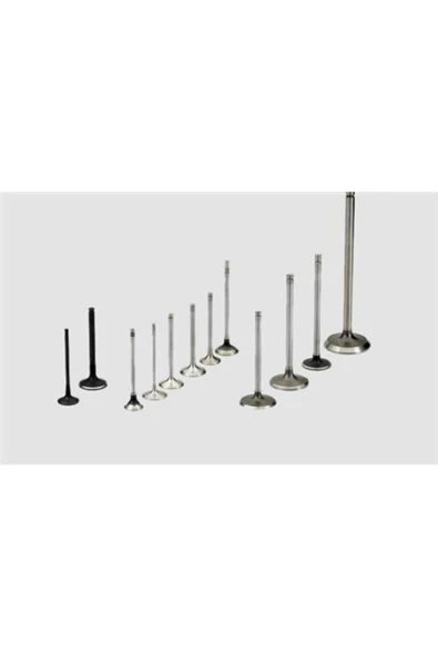 Supsan VT Supap Takımı Passat 2.0 Tdı 16v Eng. Azv Bma Bmp Bkd 16v ürün görseli 1