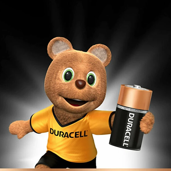Nessiworld  Duracell Basic C Boy Pil 2Li - Resim 5