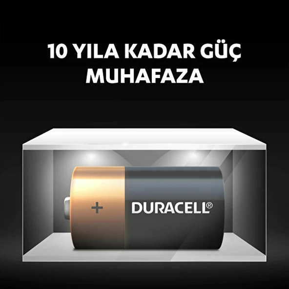 Nessiworld  Duracell Basic C Boy Pil 2Li - Resim 4