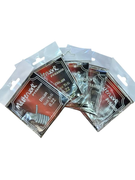 MASTERWORK DİVAN SAZ TELİ