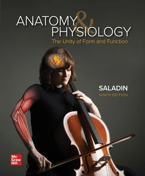 Anatomy & Physiology: The Unity of Form and Function 9th Edition Saladin ürün görseli 1