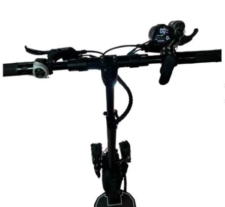 SWAY ÇİTA 2000W ÇİFT MOTOR HİDROLİK FREN ELEKTRİKLİ SCOOTER - 2
