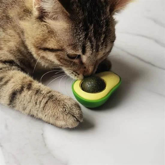 Avokado Model Yapışkanlı Kedi Oyuncağı Yenilebilir Kedi Nanesi Otu (4401) - 2