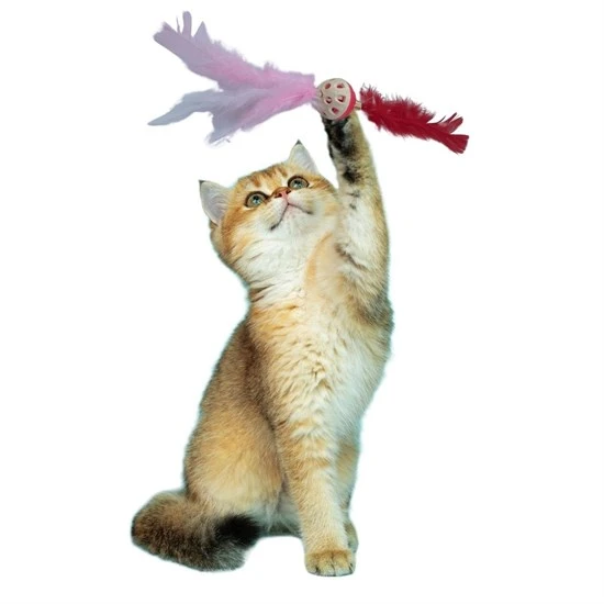 Tüylü Püsküllü Kedi Oyuncağı Dikkat Çekici Renkli Sevimli Evcil Hayvan Oyuncağı (4401) - 2