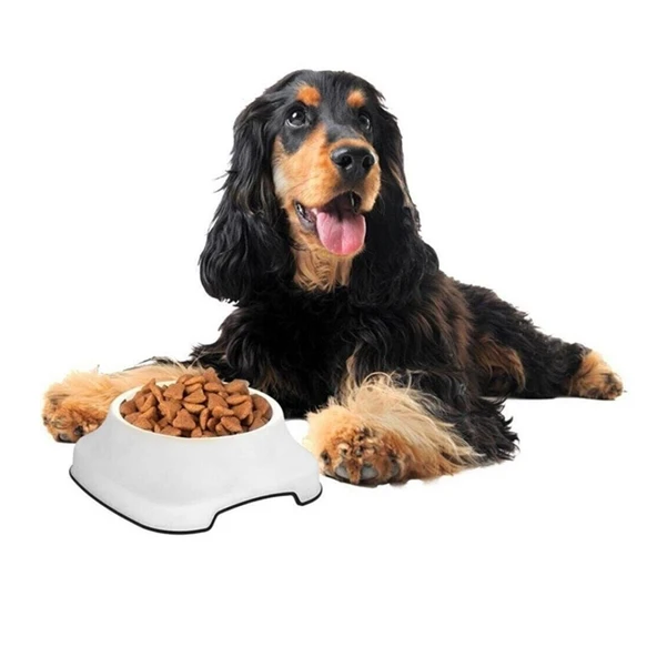 Silikon Kaydırmaz Taban Plastik Kedi ve Köpek Mama ve Su Kabı 2 L (4401) - 2