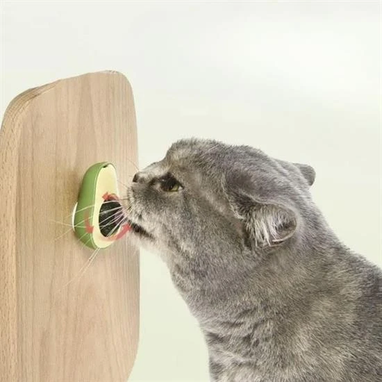 Avokado Model Yapışkanlı Kedi Oyuncağı Yenilebilir Kedi Nanesi Otu (4401) - 3
