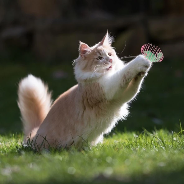 Yaylı Metal Fareli Kafes Kedi Oyun Topu Sıçrayan Spiral Kedi Topu (4401) - 5