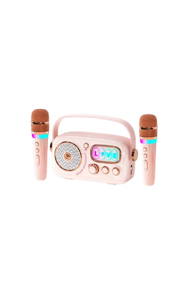 Nettech  Zealsound D10 Karaoke Box Kablosuz Hoparlör - Speaker
