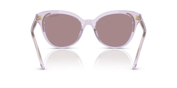 Swarovski SK6031 1079LA 53 Kadın Güneş Gözlüğü - 3