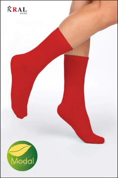 Kadın Soket Çorap (10 ÇİFT) Likralı Pamuklu Dikişsiz Soft Penye Uzun Çorap - 7