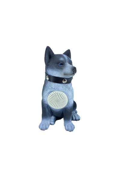 Nettech  ACH-M242 Wolf Kablosuz Hoparlör - Speaker