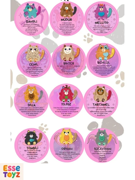 Sürpriz Peluş Misfitens Oyuncak – 1 Adet Hediyelik Sevimli Misfits Peluş Figür | Koleksiyonluk Sürpriz Hediye - 7