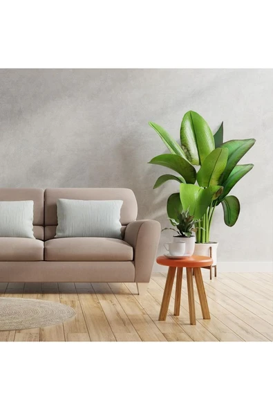 Depolife Ahşap Koruyucu Tik Yağı Teak Oil Protect 2.5 L Koruyucu Renksiz iroko Maun Gül tik Ahşap Koruyucu - 3