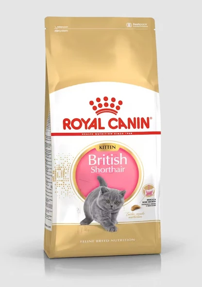 Royal Canin Kitten British Shorthair Yavru Kedi Maması 2 Kg
