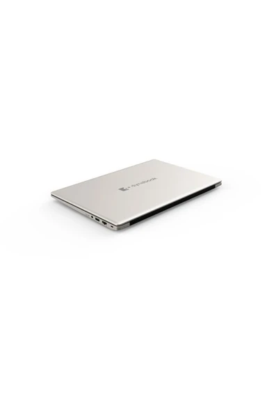 Dynabook Satellite Pro C50-J-137/İ7-1165G7/8 GB/256GB/FREEDOS/TAŞINABILIR BILGISAYAR/PYS44E-00K009TE