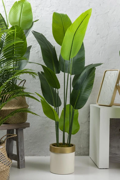 Güleç Yapay Çiçek Yapay Starliçe Ağacı 160 Cm Geniş Yapraklı Krem Gold Saksı - Resim 2