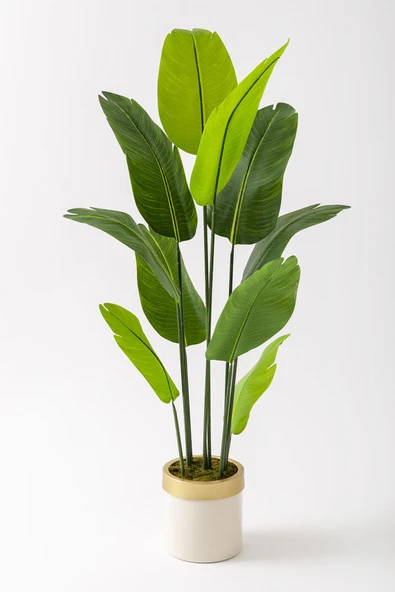 Güleç Yapay Çiçek Yapay Starliçe Ağacı 160 Cm Geniş Yapraklı Krem Gold Saksı ürün görseli