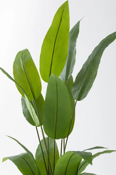 Güleç Yapay Çiçek Yapay Starliçe Ağacı 200 Cm Siyah Saksı - 4