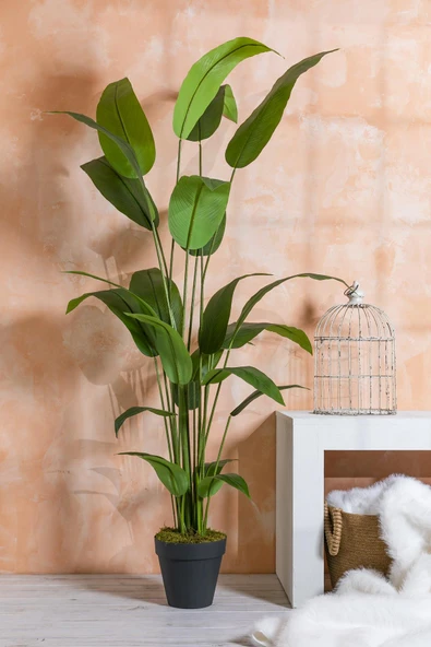 Güleç Yapay Çiçek Yapay Starliçe Ağacı 200 Cm Siyah Saksı - 2