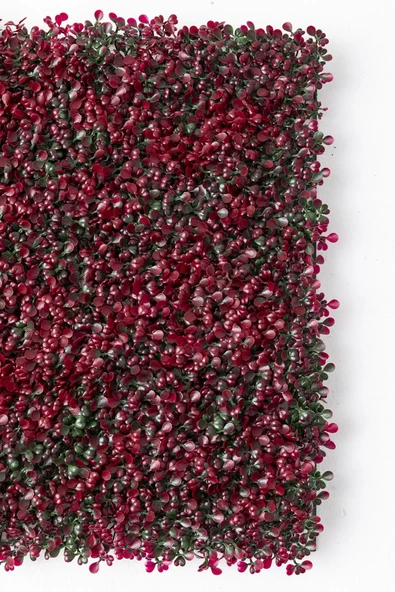 Güleç Yapay Çiçek Yapay Duvar Paneli Uv Korumalı Kırmızı Şimşir 50*50 - Resim 3