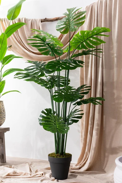 Güleç Yapay Çiçek Yapay DeveTabanı(Monstera) Ağacı 180 Cm - Resim 2